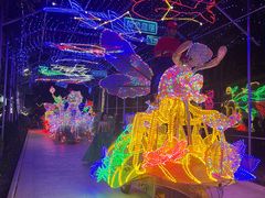 -南宫五洲植物乐园