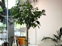 -五进制 Coffee Shop
