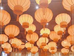 -二胖家铁锅炖大鹅(双井店)