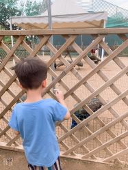 -萌宠亲子动物乐园(槐房万达店)