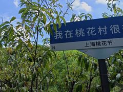 -南汇桃花村