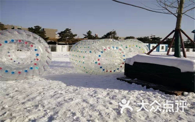 爱思诺天津精武门冰雪文化嘉年华团购图片图片 - 第5张