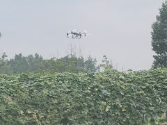 -中国天府农业博览园