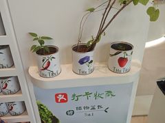 -大树餐厅(环球港店)