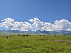 -新疆那拉提国家旅游度假区