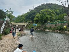 -北仑森林植物园