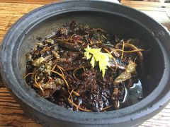 -听香·678茶铺(猛追湾店)