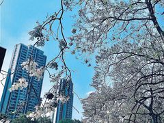 -红星桥(地铁站)