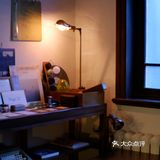 午后幽静的阅读时光