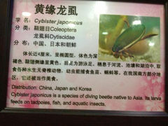 4.4-上海大自然野生昆虫馆