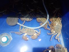 -蟹都汇(龙舟店)