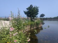 -太湖游船(石公山码头)