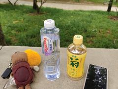 -香山公园