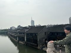 -真真老老(月河花鸟市场店)
