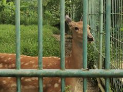 -广西壮族自治区药用植物园
