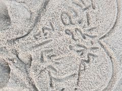 -玫瑰海岸文化旅游度假区