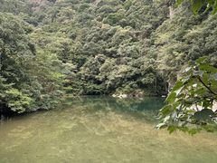-龙湾潭国家森林公园