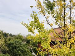 -开福禅寺