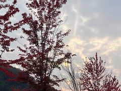 -九鼎铁刹山风景区