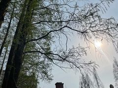 -一尺花园(安和花园店)