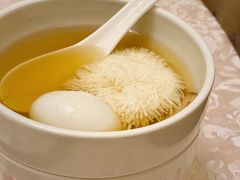 松茸炖绣球豆腐-新光酒家·河豚·海鲜·蟹料理(浦东店)