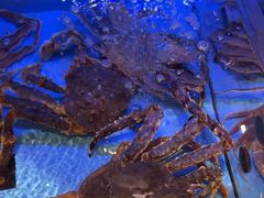 -阿伟海鲜楼·福建菜(延寿店)