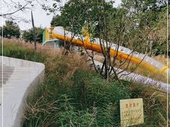 -杭州少年儿童公园