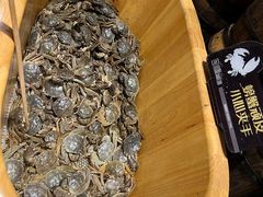 -川骄海鲜自助(亚运村店)