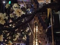 -山有花啡餐厅(常营总店)