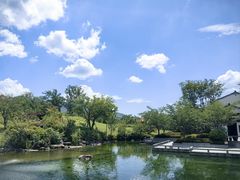 -雅达·阳羡溪山小镇中心