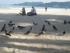 -Dang restaurant (patong phuket)