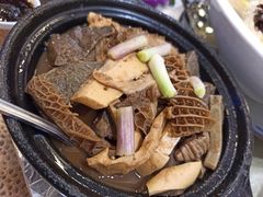 -海王老记