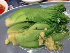 姜蓉水东芥（特）-点都德(华强南店)