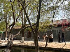 -春风习习