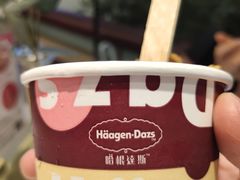 -哈根达斯(天河城店)
