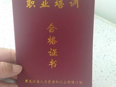 -爱月宝月嫂·育儿嫂(哈尔滨总店)