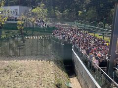 -沈阳森林动物园