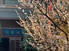 -灵隐飞来峰景区