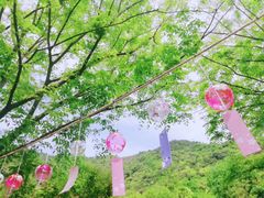 -黄公望隐居地
