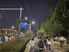 -九龙湖公园