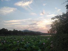 -云龙湖旅游景区