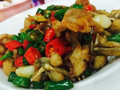 -碧丽宫大酒店(召稼楼店)