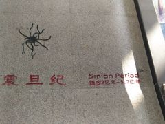 -中国第四纪冰川遗迹陈列馆