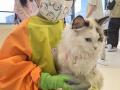 -怪兽屋·羊驼·猫咖·狗咖(俊华广场店)