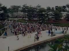 -欢乐海岸椰林沙滩-2025湾区超级灯会