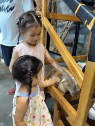 -Zoolung Zoolung动物主题公园(海信广场店)