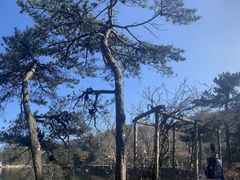 -庐山风景名胜区