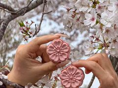 -珈境湖畔餐厅·湖北菜·江浙菜•樱花季(西北湖店)