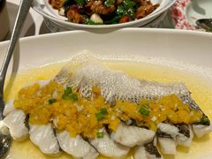 泡菜椒蒸海鲈鱼-北京宴(丰台总店)
