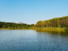 -昆山城市生态森林公园